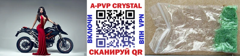 Alpha PVP СК КРИС Сухиничи