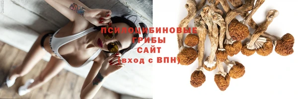 амф Магас