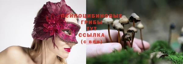 амф Магас
